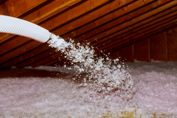 Best Best Insulation Companies  in Village Of The Branch, NY