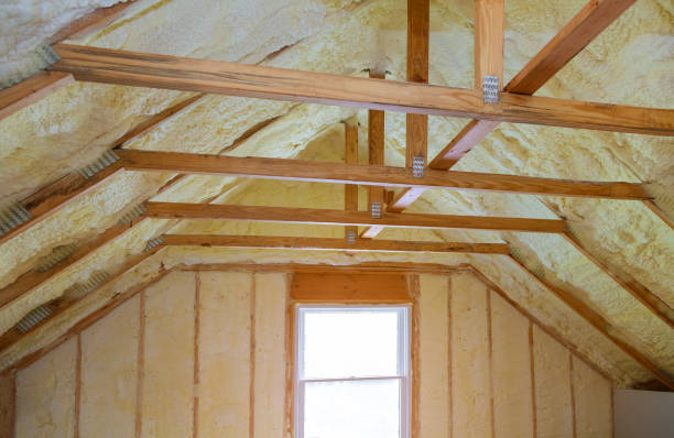 Best Energy-efficient Insulation  in Village Of The Branch, NY