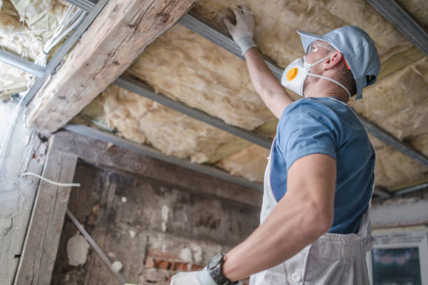 Best Crawl Space Insulation  in Village Of The Branch, NY
