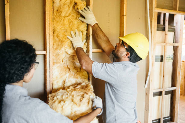 Best Cellulose Insulation  in Village Of The Branch, NY